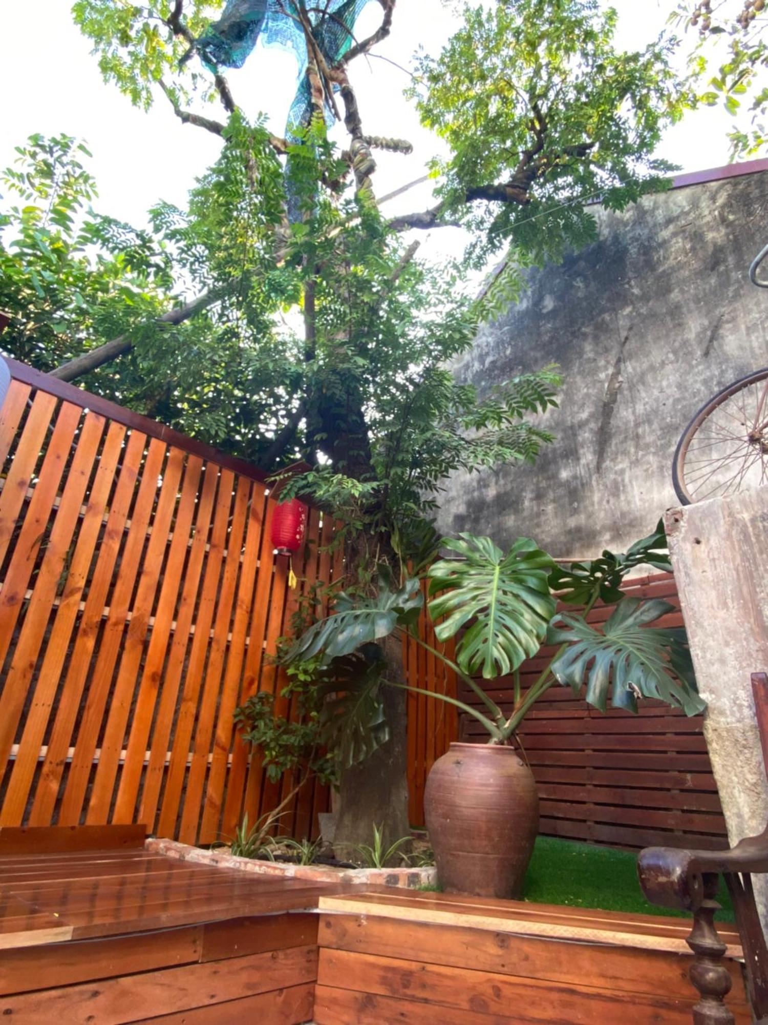 Ohayo Tam Coc Homestay Ninh Binh Zewnętrze zdjęcie