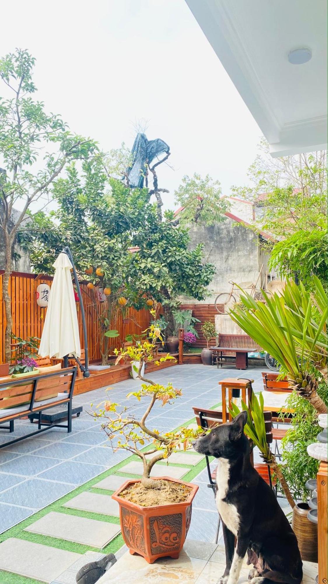 Ohayo Tam Coc Homestay Ninh Binh Zewnętrze zdjęcie